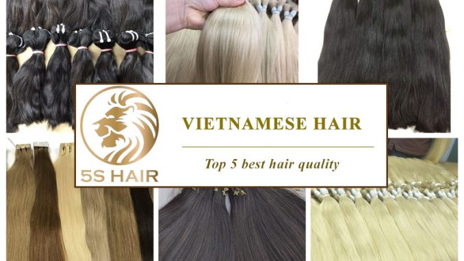 what-is-vietnamese-hair-and-things-you-may-not-know-about-it-1