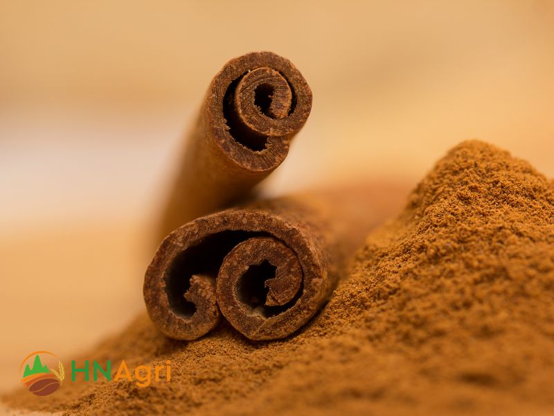 bulk-cinnamon-powder-a-profitable-opportunity-for-wholesalers-2
