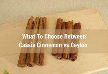 what-to-choose-between-cassia-cinnamon-vs-ceylon