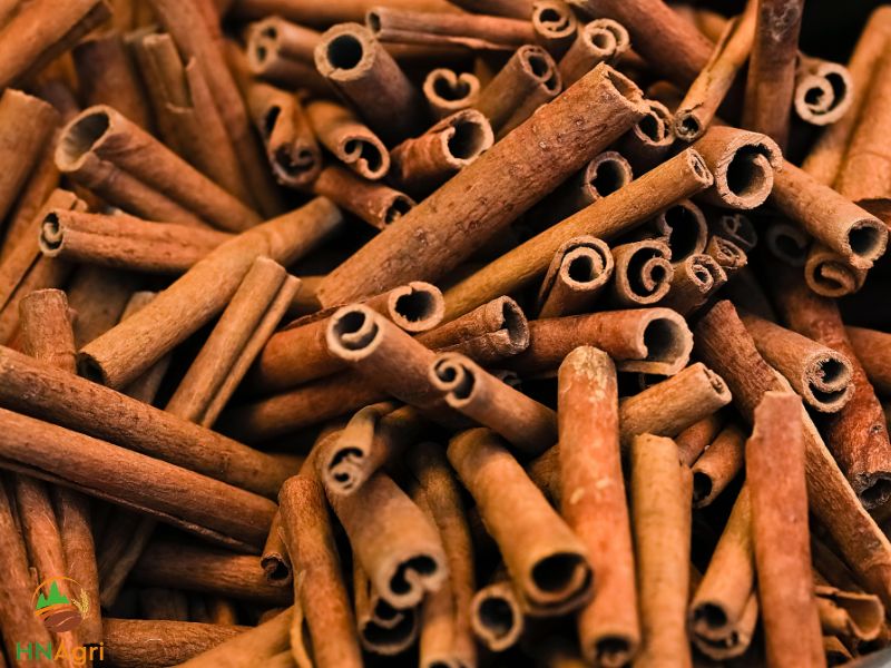 cinnamon-cigarettes-have-plenty-of-potential-1
