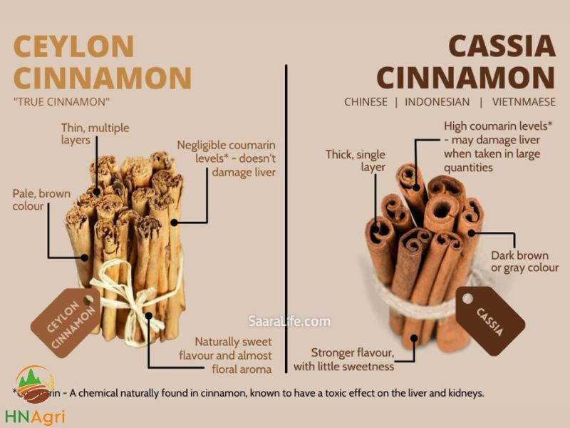 what-to-choose-between-cassia-cinnamon-vs-ceylon-2