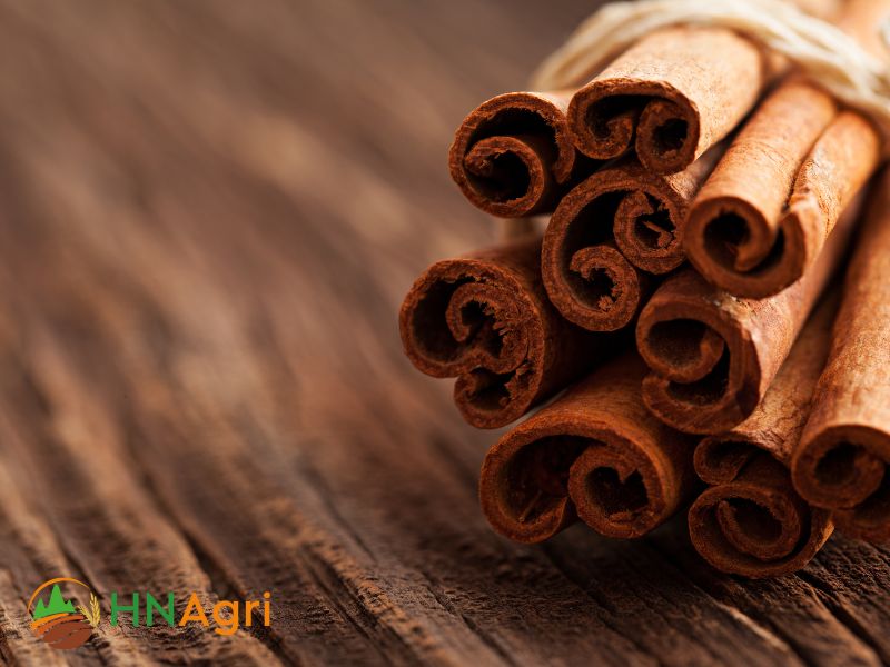 cassia-cinnamon-the-versatile-spice-for-wholesale-buyers-1