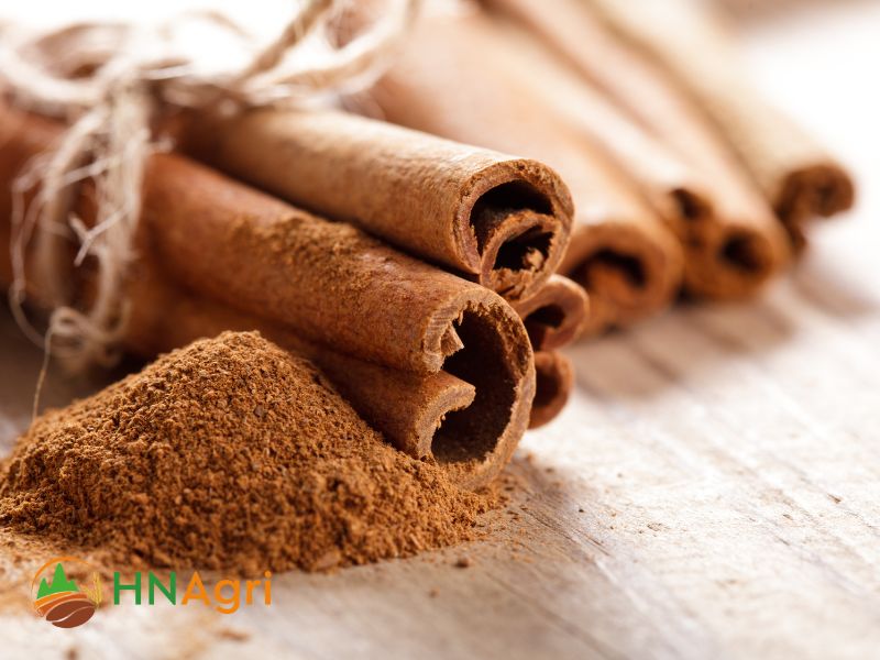 cassia-cinnamon-the-versatile-spice-for-wholesale-buyers-2