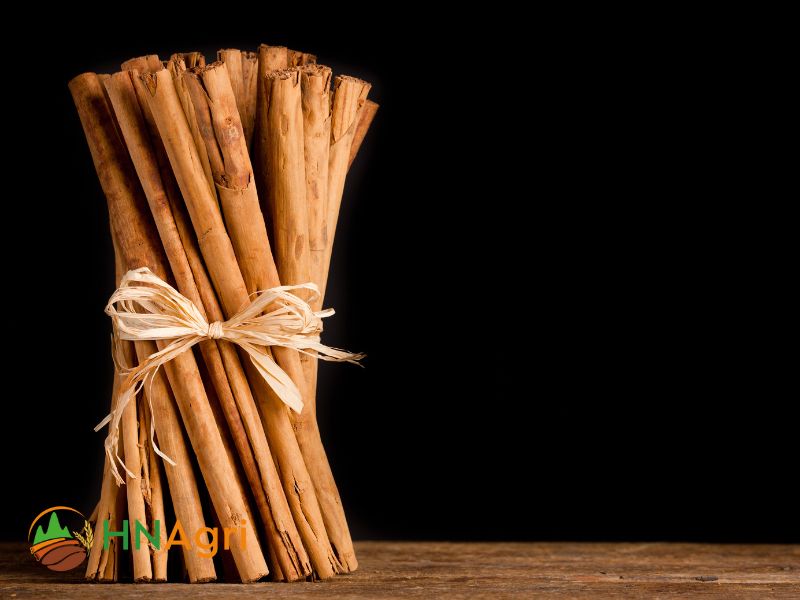 Wholesale-Ceylon-Cinnamon-Embracing-the-Aromatic-Allure-in-Bulk-3