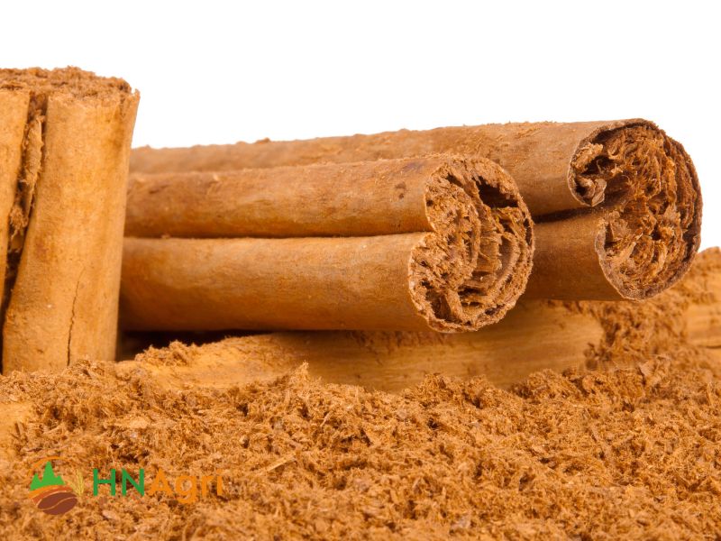 Wholesale-Ceylon-Cinnamon-Embracing-the-Aromatic-Allure-in-Bulk-2