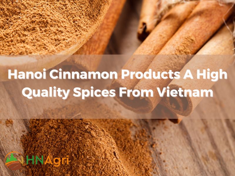 hanoi-cinnamon-products-a-high-quality-spices-from-vietnam